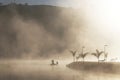 Fisherman on a boat Sunrise and mist fog in the beautiful lake Royalty Free Stock Photo