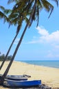 Fisherman boat unther the coconut tree Royalty Free Stock Photo