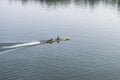 A fisherman boating fishing in the Mekong River sunset. Royalty Free Stock Photo