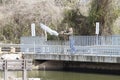 Fisherman in camouflage clothing uses a cast net from a bridge