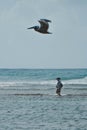 Fisherman in Caravella Beach Guadalupe, with a large seabird soaring in the sky above Royalty Free Stock Photo