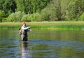 Fisherman catches of chub fly fishing in the Chusovaya river Royalty Free Stock Photo