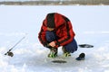 Fisherman catches fish in ice-hole. Ice fishing Royalty Free Stock Photo