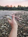 fisherman caught river fish holding in his hand