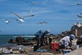 Fisherman cleaning fish on the beach front in Essaouira, Morocco. Royalty Free Stock Photo