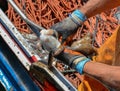 Fisherman cleaning freshly caught octopus in his boat Royalty Free Stock Photo