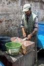 A fisherman cleans a fish at the busy port of Essaouira in Morocco. Royalty Free Stock Photo