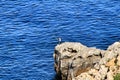 Fisherman in the evening on La Azohia beach in Cartagena