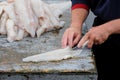 Fisherman filleting cod Royalty Free Stock Photo
