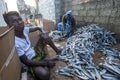 People packing dried sardine fish into cardboard boxes in Sri Lanka.