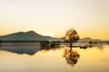 Fisherman fishing in big lake Royalty Free Stock Photo