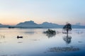 Fisherman fishing in big lake Royalty Free Stock Photo