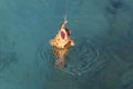 Fisherman fishing brown grouper fish for the sea Royalty Free Stock Photo