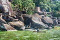 Fisherman fishing near rocks and houses on the shore of Lake Vic