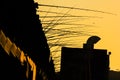 Fisherman fishing at sunset on the Galata Bridge in Istanbul Turkey Royalty Free Stock Photo