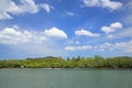 Fisherman floating rafts near mangrove forest