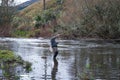 Fisherman fly fishing rainbow trout on mountain in beautiful sce