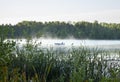 Fisherman on a foggy lake in northern Minnesota at sunrise Royalty Free Stock Photo