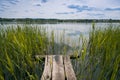 fisherman footbridge in rich green vegetation of cane, lake bank tranquil, quiet and peaceful summer no human landscape, ecology Royalty Free Stock Photo