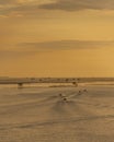 Fisherman Going Out to Sea During Morning Sunrise Over Calm Waters in Thailand