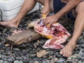 A fisherman gutting a fish.