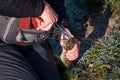 Fisherman hands with catched pike by spinning rod. Royalty Free Stock Photo