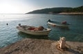 Fisherman on his boat followed by a crowd of seagulls, shot in Hvar, Croatia.