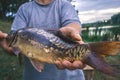 The fisherman is holding a catch - a large carp. Royalty Free Stock Photo