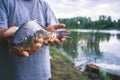 The fisherman is holding a catch - a large carp. Royalty Free Stock Photo