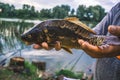 The fisherman is holding a catch - a large carp. Royalty Free Stock Photo