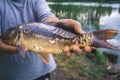 The fisherman is holding a catch - a large carp. Royalty Free Stock Photo