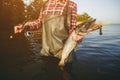The fisherman is holding a fish pike caught on a hook Royalty Free Stock Photo