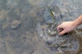 Fisherman holding fish, releasing carp fish back to river, fishing competition