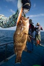 Fisherman holding a grouper on fishing boat in Andaman, Thailand Royalty Free Stock Photo