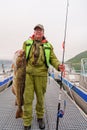 Fisherman holding a huge fish Cod. Norway Fishing tourism. Senior fisherman in ocean, fjord fishing. Royalty Free Stock Photo