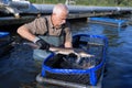 Fisherman holding trout out water in fishfarm