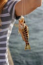 A fisherman holds a live caught fish on a hook. Royalty Free Stock Photo