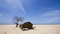 Fisherman house on the beach at Kokkilai, Sri Lanka Royalty Free Stock Photo