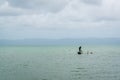 Fisherman on Los Haitises National Park Royalty Free Stock Photo