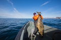 Fisherman in the middle of the sea with a huge fish Royalty Free Stock Photo