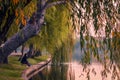 Fisherman in the morning light at sunrise on a lake with two rod Royalty Free Stock Photo