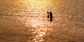 Fisherman with net in sea with sunset light reflection on sea wa Royalty Free Stock Photo