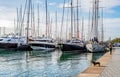 Dog on Paseo maritimo - Palma de Mallorca, Balearic Islands, Spain Royalty Free Stock Photo