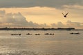 Fisherman In Phnom Penh