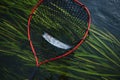 Fisherman picking up big rainbow trout from his fishing net