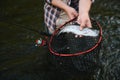 Fisherman picking up big rainbow trout from his fishing net