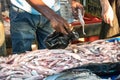 Fisherman putting fresh fish on bag selling at the local fish market in Galle, Sri Lanka Royalty Free Stock Photo