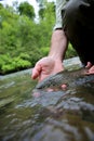 Fisherman with recently caught brown trout Royalty Free Stock Photo