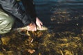 The fisherman releases the caught pike fish back into the river.