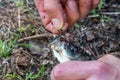 The fisherman removes the fish from the hook